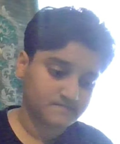 Student studying during a video lesson